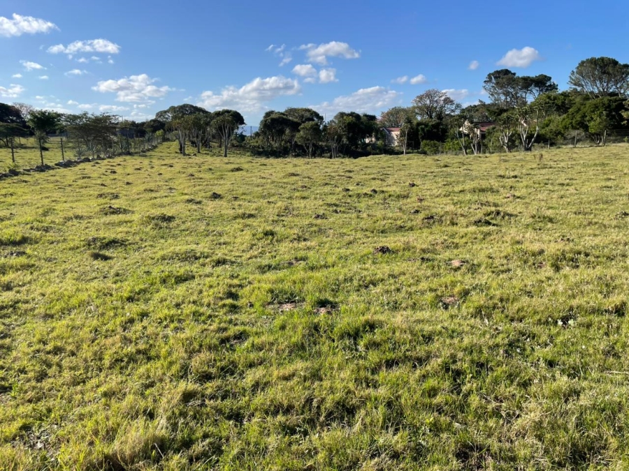 0 Bedroom Property for Sale in Bathurst Eastern Cape